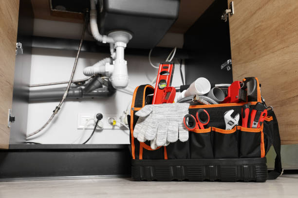 Best Plumbing Inspection Services  in Chesaning, MI