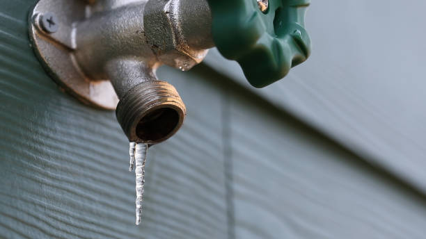 Best Local Plumber Services  in Chesaning, MI